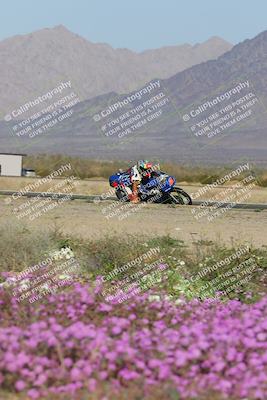 media/Feb-04-2023-SoCal Trackdays (Sat) [[8a776bf2c3]]/Turn 15 Inside Blooming (1050am)/